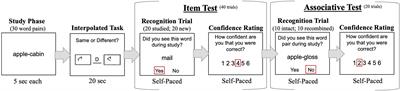 Evidence for Age-Equivalent and Task-Dissociative Metacognition in the Memory Domain